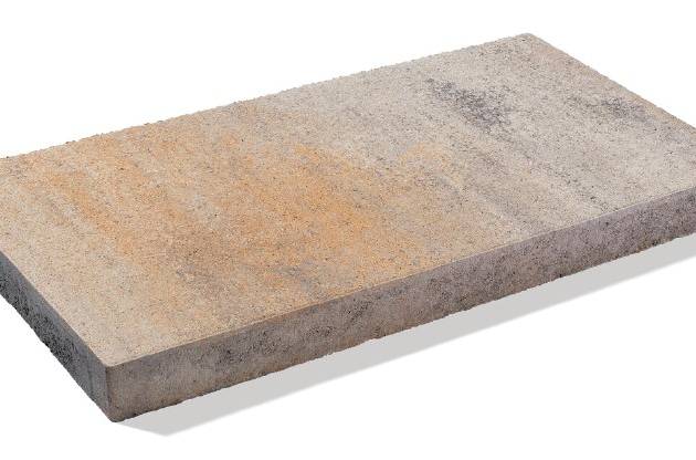 pavele-curte-longara-60x30x5-cm