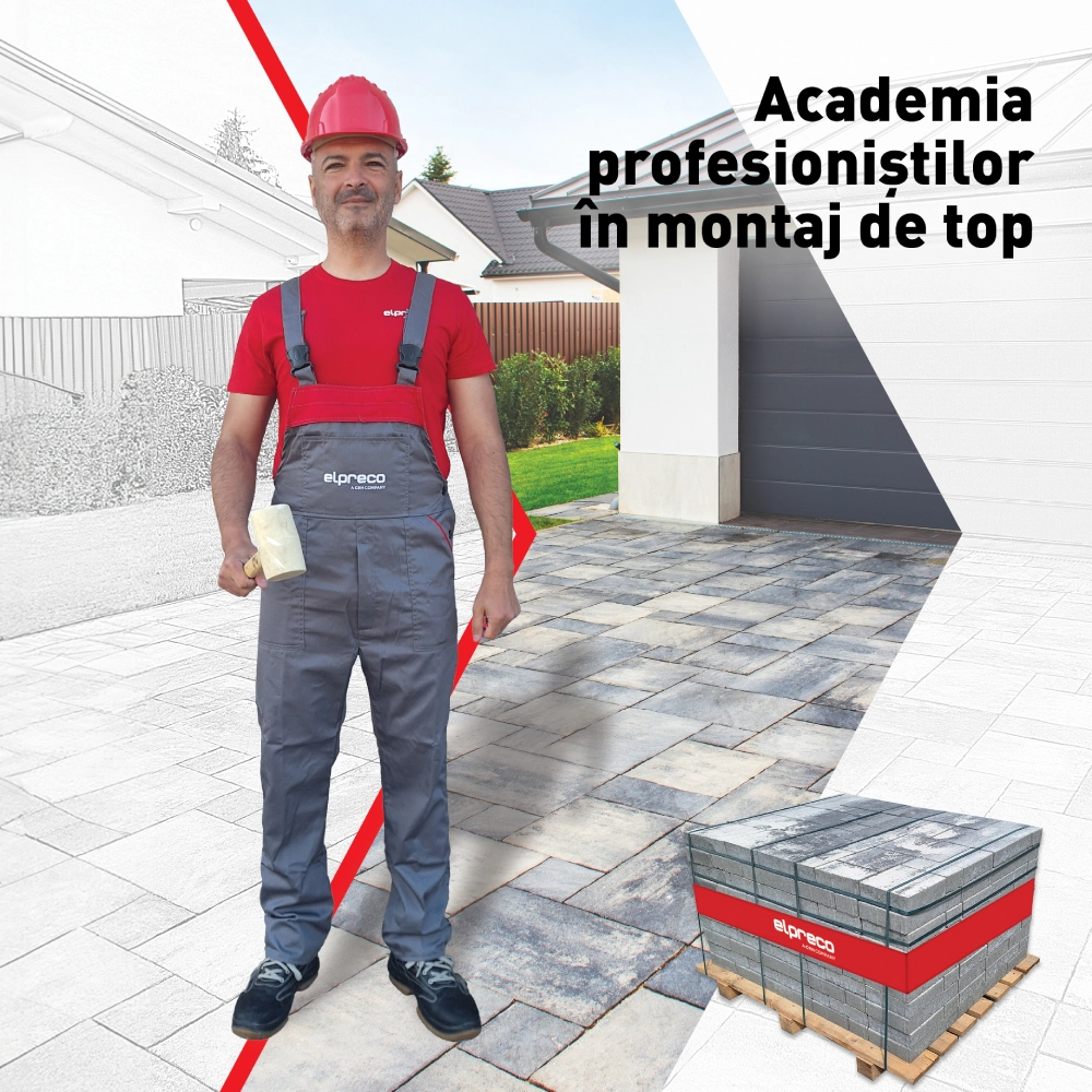 Academia profesionistilor in montaj de top a pavelelor